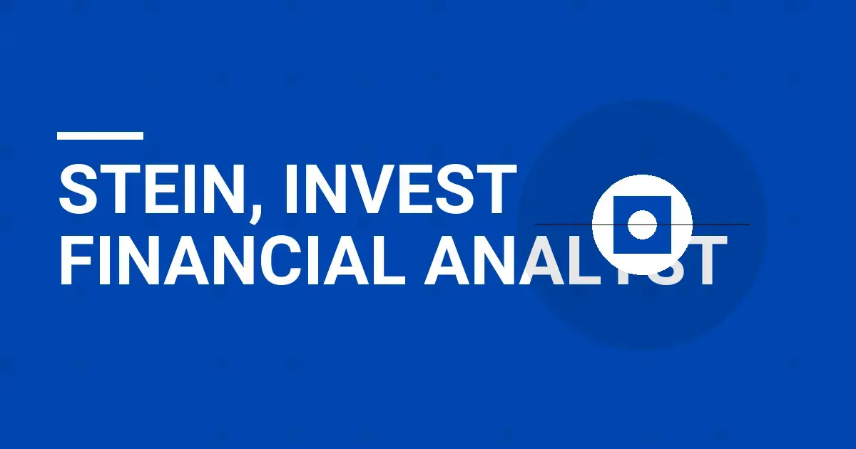 Stein, Invest Financial Analyst