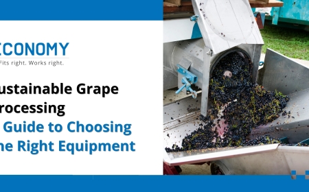 Sustainable Grape Processing: A Guide to Choosing the Right Equipment
