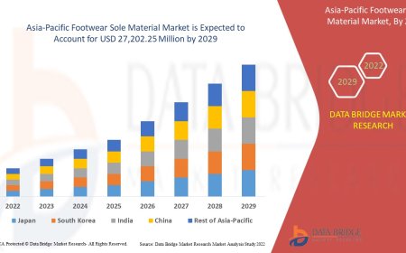 Asia-Pacific Footwear Sole Materials Market: Trends, Forecast, and Competitive Landscape 2024 –2031