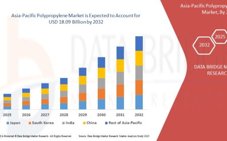 Asia-Pacific Polypropylene Market: Trends, Forecast, and Competitive Landscape 2025 –2032