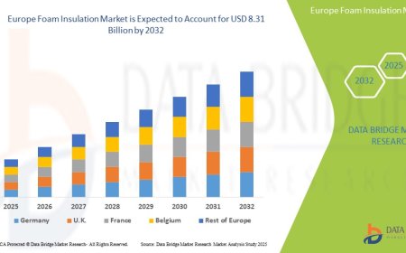 Europe Foam Insulation Market: Trends, Forecast, and Competitive Landscape 2025 –2032