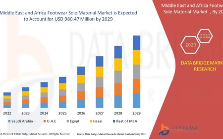 Middle East and Africa Footwear sole materials Market: Trends, Forecast, and Competitive Landscape 2024 –2031