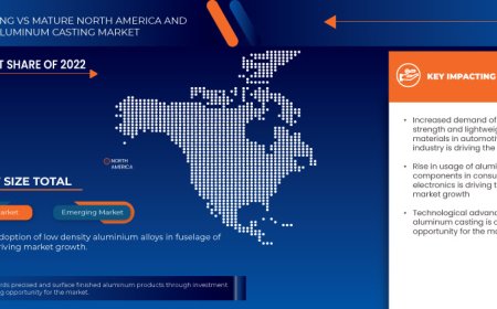 North America and MENA Aluminum Casting Market: Trends, Forecast, and Competitive Landscape 2024 –2031