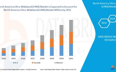 North America Ultra-Wideband (UWB) Market Overview: Trends, Challenges, and Forecast 2024 –2031