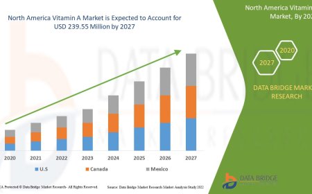 North America Vitamin A Market: Trends, Forecast, and Competitive Landscape 2024 –2031