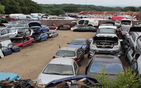 Where Cars Go to Die (And Sometimes Be Reborn)