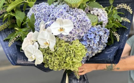 Blooms That Speak Success: Your Guide to Graduation Flowers and More in Melbourne CBD