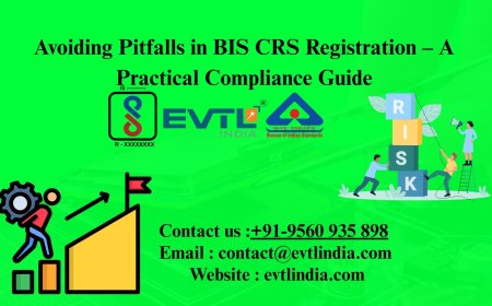 Avoiding Pitfalls in BIS CRS Registration – A Practical Compliance Guide