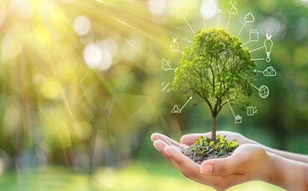 How to Avoid Probate in Florida: A Step-by-Step Guide