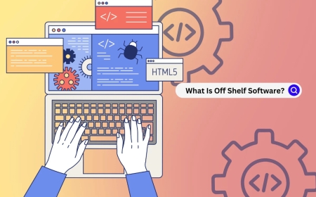 Real-World Uses Shared by Guest Post Professionals