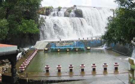 Discover the Scenic Thirparappu Falls Location in Tamil Nadu