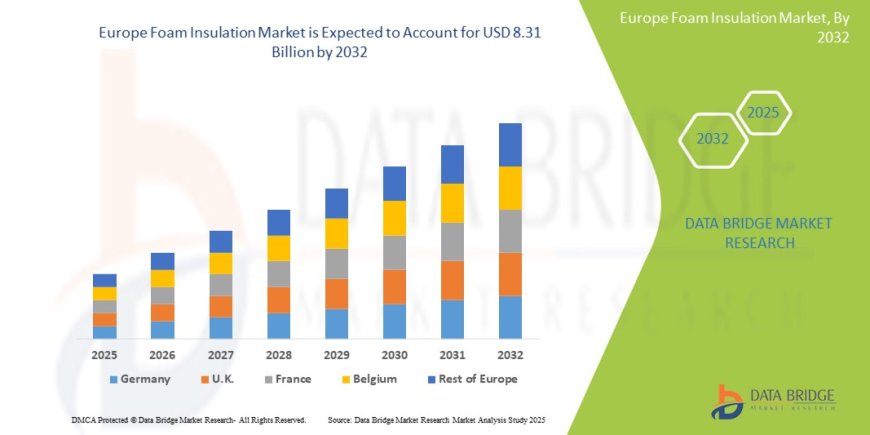 Europe Foam Insulation Market: Trends, Forecast, and Competitive Landscape 2025 –2032