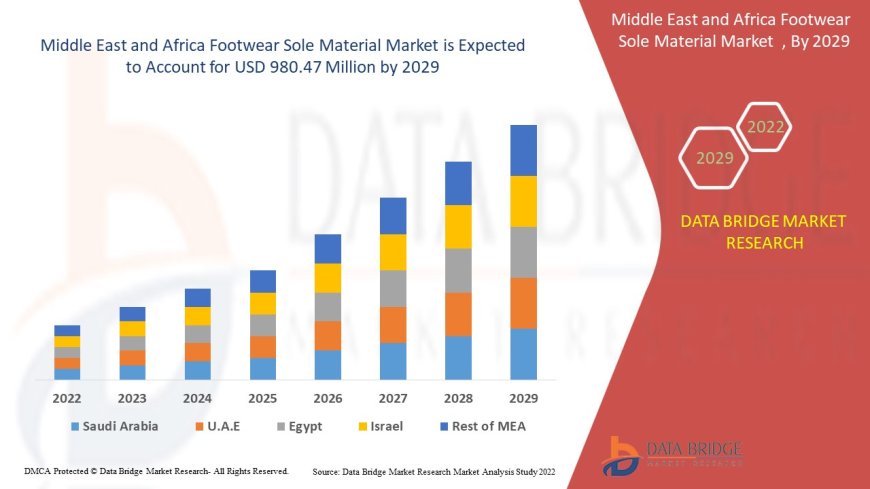 Middle East and Africa Footwear sole materials Market: Trends, Forecast, and Competitive Landscape 2024 –2031