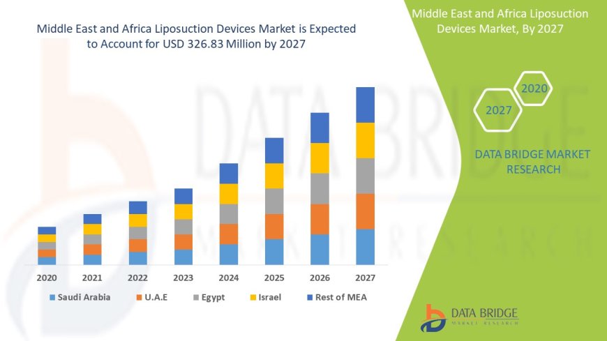 Middle East and Africa Liposuction Devices Market: Trends, Forecast, and Competitive Landscape 2024 –2031