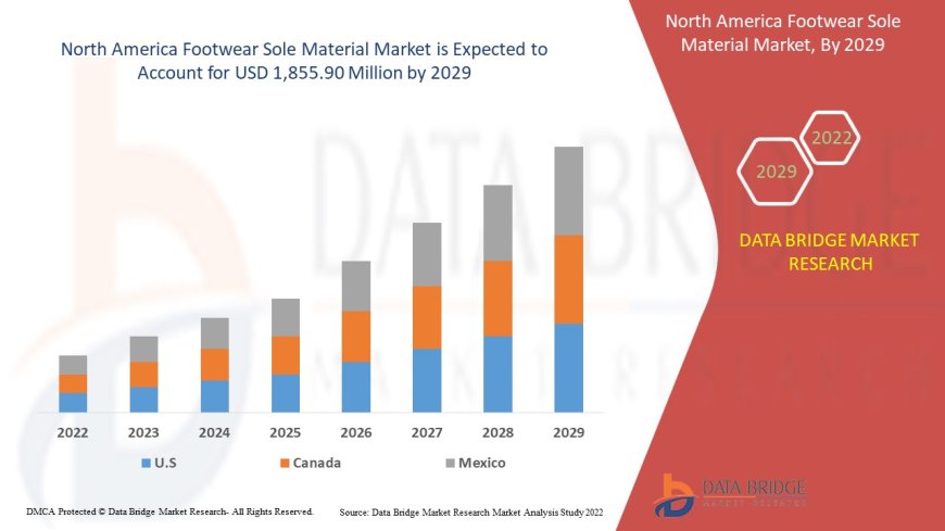 North America Footwear Sole Materials Market: Trends, Forecast, and Competitive Landscape 2024 –2031