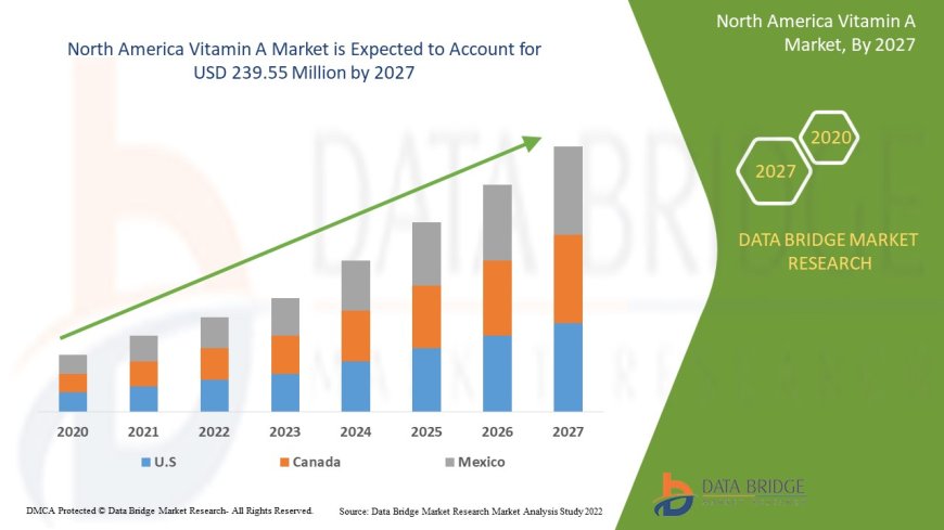 North America Vitamin A Market: Trends, Forecast, and Competitive Landscape 2024 –2031