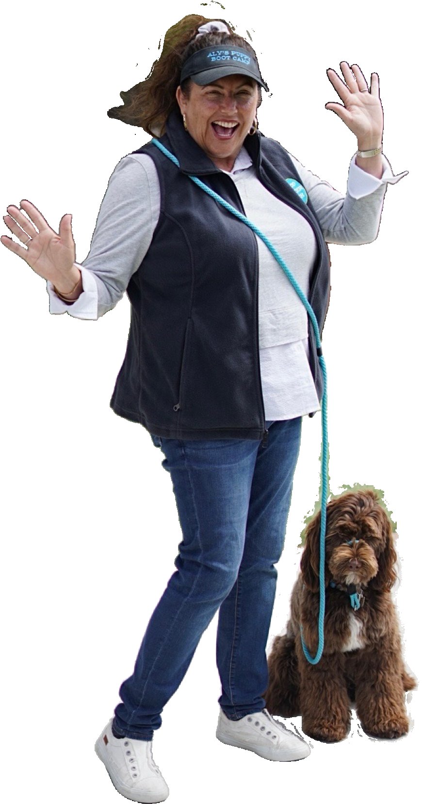 Why the Good Walker Handsfree Leash Revolutionizes Dog Walking and Training