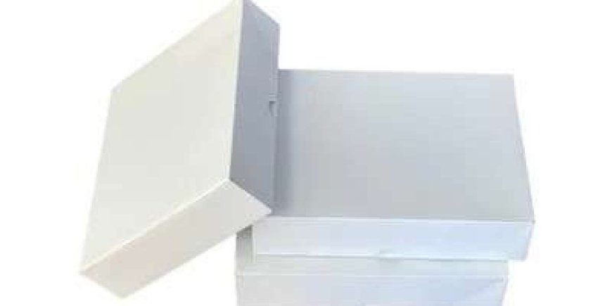 Why Custom Letterhead Envelopes Are a Must-Have for Your Business