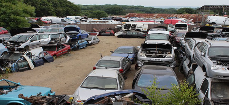 Where Cars Go to Die (And Sometimes Be Reborn)