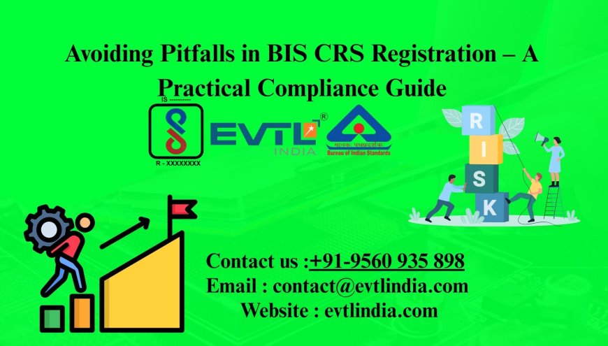 Avoiding Pitfalls in BIS CRS Registration – A Practical Compliance Guide