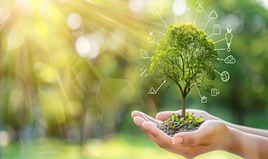 How to Avoid Probate in Florida: A Step-by-Step Guide