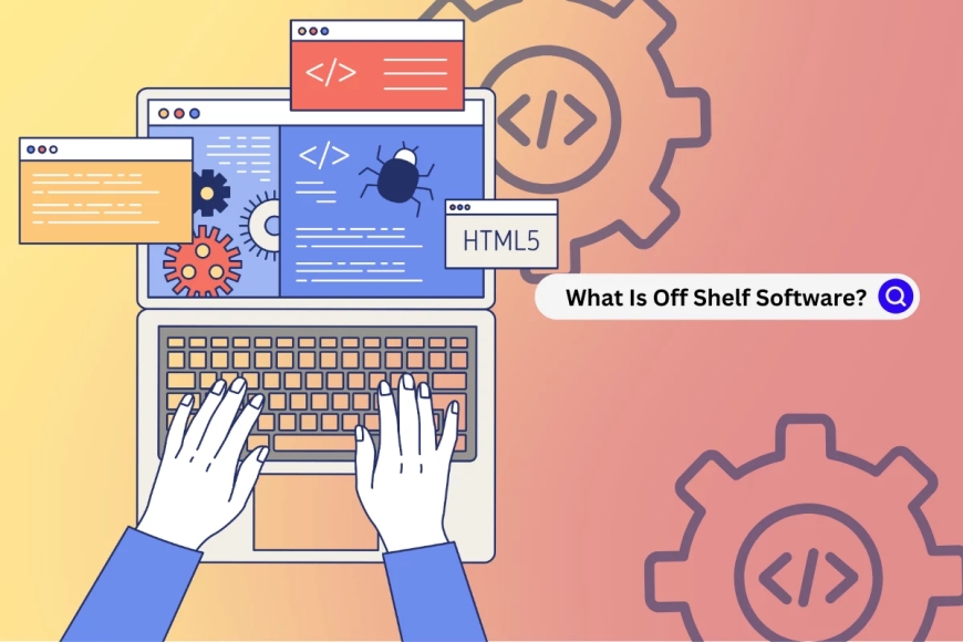 Real-World Uses Shared by Guest Post Professionals