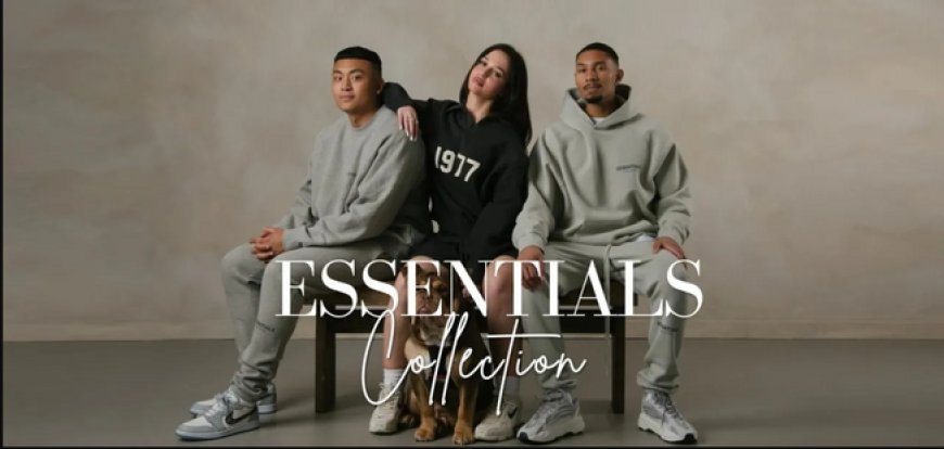 Essential Hoodie for Fitness: Move in Style and Comfort