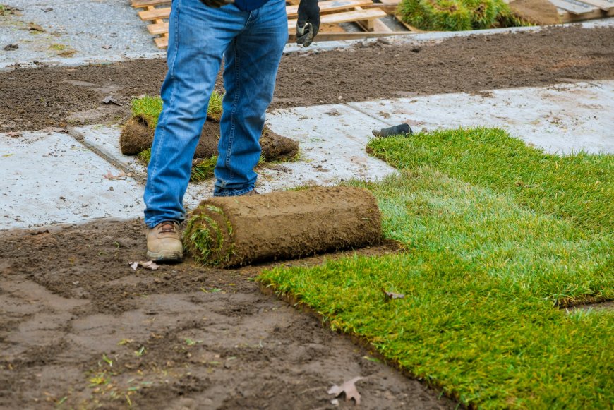 Can You Install Sod During a Drought?