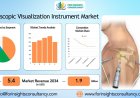 Leading Innovations in the Arthroscopic Visualization Instrument Market