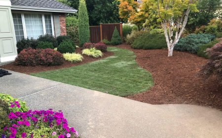 Landscape Construction Services Near Me