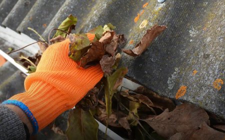 Gutter Cleaning services Bixby, OK