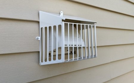 Bird Guard Install Glenview, IL