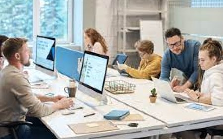 How an Accountant in Finchley Can Help You Grow Your Startup