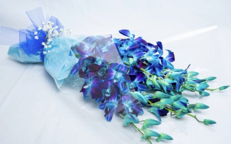 Bringing Joy to Every Doorstep with Flowers in Strathmore