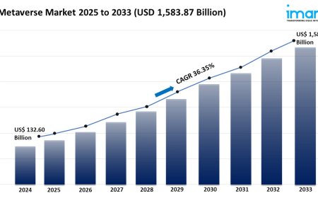Metaverse Market Size, Growth & Trends Report 2025-2033