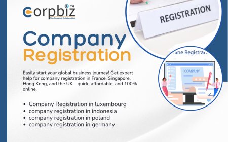 Company Registration for Startups: Everything You Need to Know in 2025