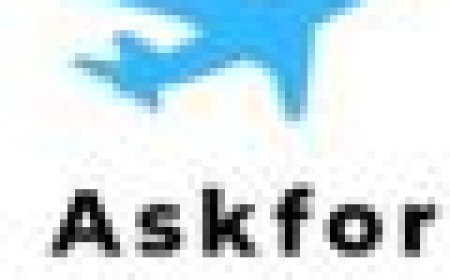 Royal Jordanian Phone Number Detroit