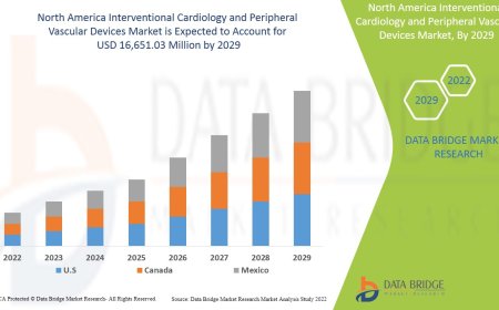 North America Interventional Cardiology and Peripheral Vascular Devices Market Accelerates with Innovations in Minimally Invasive Treatments