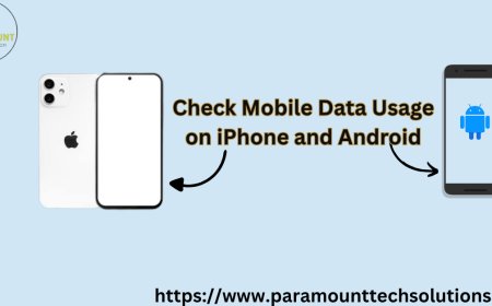 Check Mobile Data Usage on Android and iPhone
