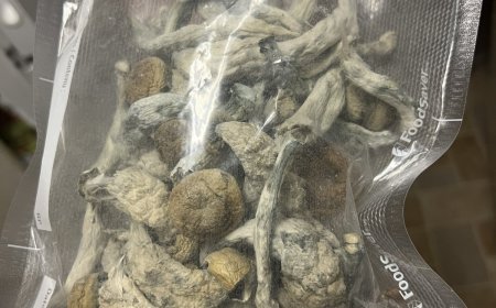 THE LEGAL STATU OF MAGIC MUSHROOM IN UK