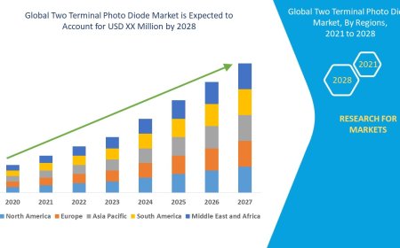Two Terminal Photo Diode Market : Overview: Trends, Challenges, and Forecast 2025 –2032