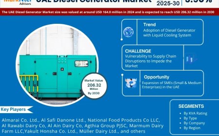 UAE Diesel Generator Future Business Opportunities 2025-2030 | Badger Mining Corp., Caterpillar Inc., Cummins Middle East FZE, FG Wilson Engineering FZE, and others