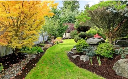Landscaping in Manassas, VA: The Smart Way to Beautify Your Home
