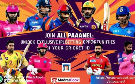 Allpaanel Betting ID Guide: How to Register and Start Winning Today