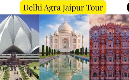Delhi Agra Jaipur Tour Packages: Culture, History & Taj Mahal