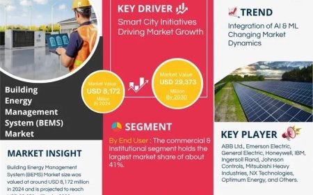 Building Energy Management System (BEMS) Market Analysis 2025–2030: Size, Share & Future Outlook