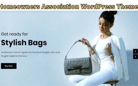 How Can You Revamp an Old Blog Using the Best Handbags WordPress Theme in 2025?