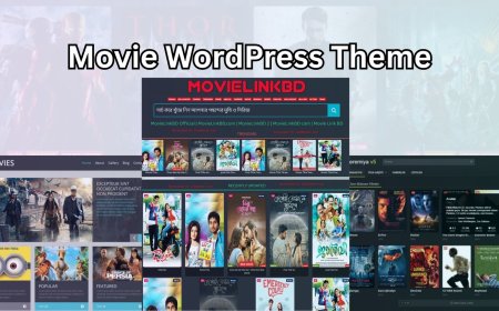 Stylish Movie WordPress Theme for Film Sites in 2025