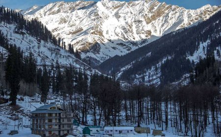 Discover the Magic of Manali: A Complete Travel Guide
