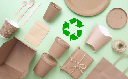 Paper Packaging Market to Surpass US$ 589.40 Billion by 2033, Fueled by Sustainability and E-Commerce Growth